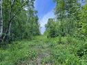 Land/Lot