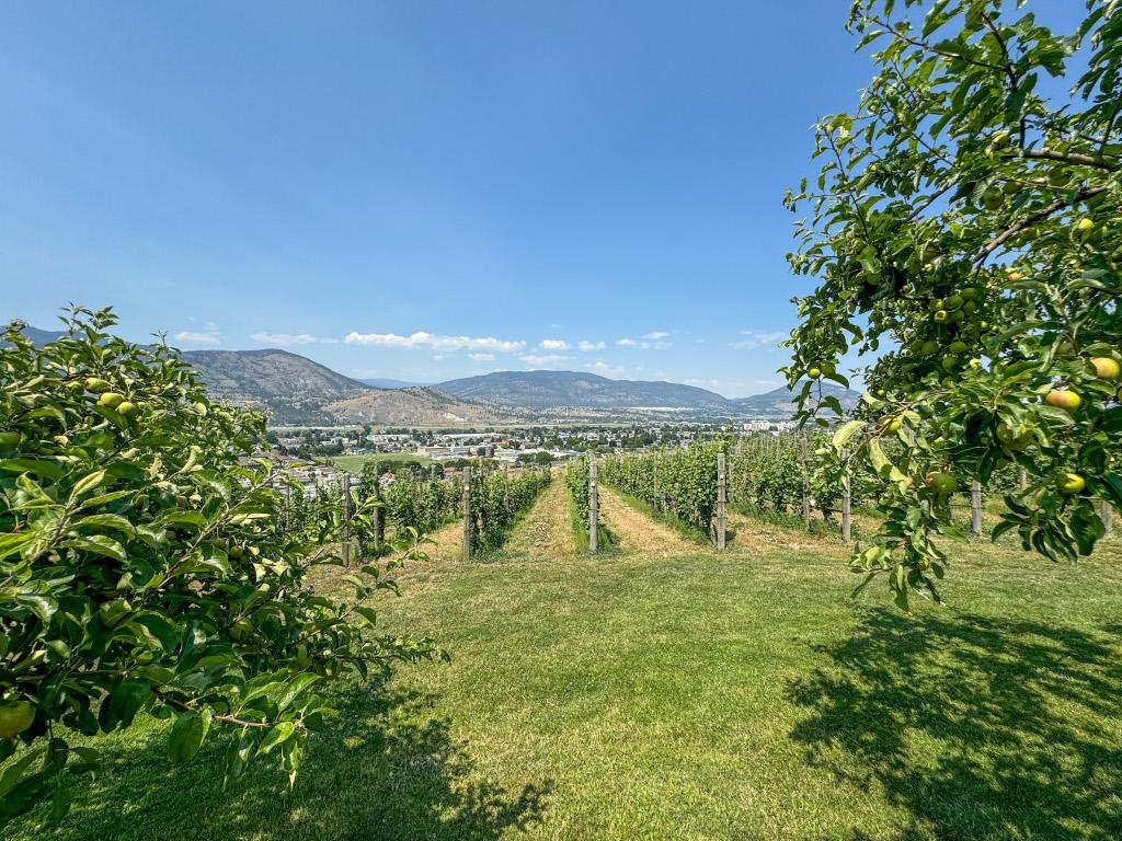 









3175


Valleyview

Road,
Penticton,







BC
V2A 8W8

