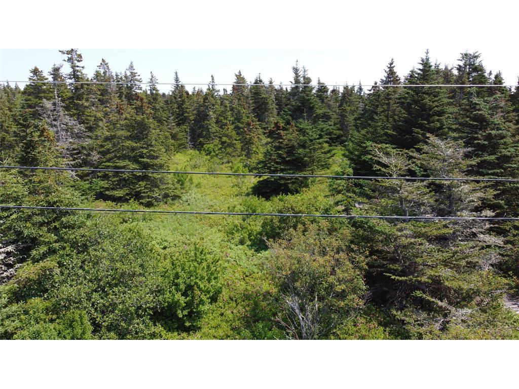 









0


McNamara

Crescent,
Harbour Grace,







NL
A0A 2M0

