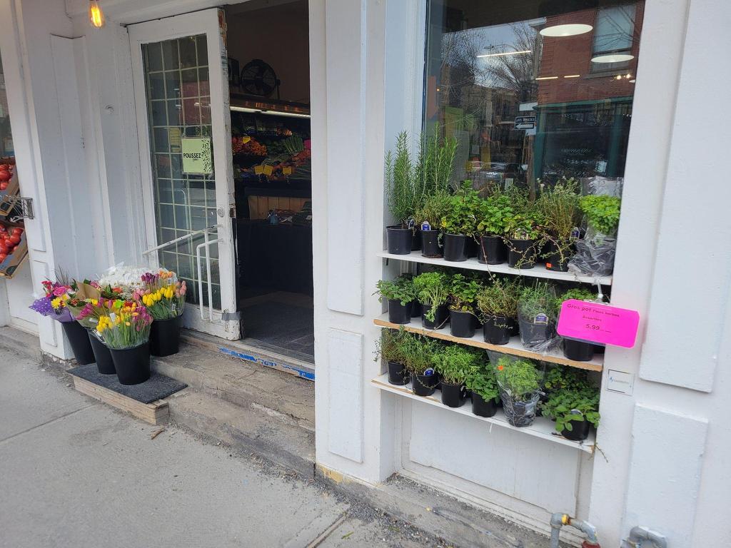 









1420


Av. Laurier E.

,
Montréal (Le Plateau-Mont-Royal),




QC
H2J1H5


