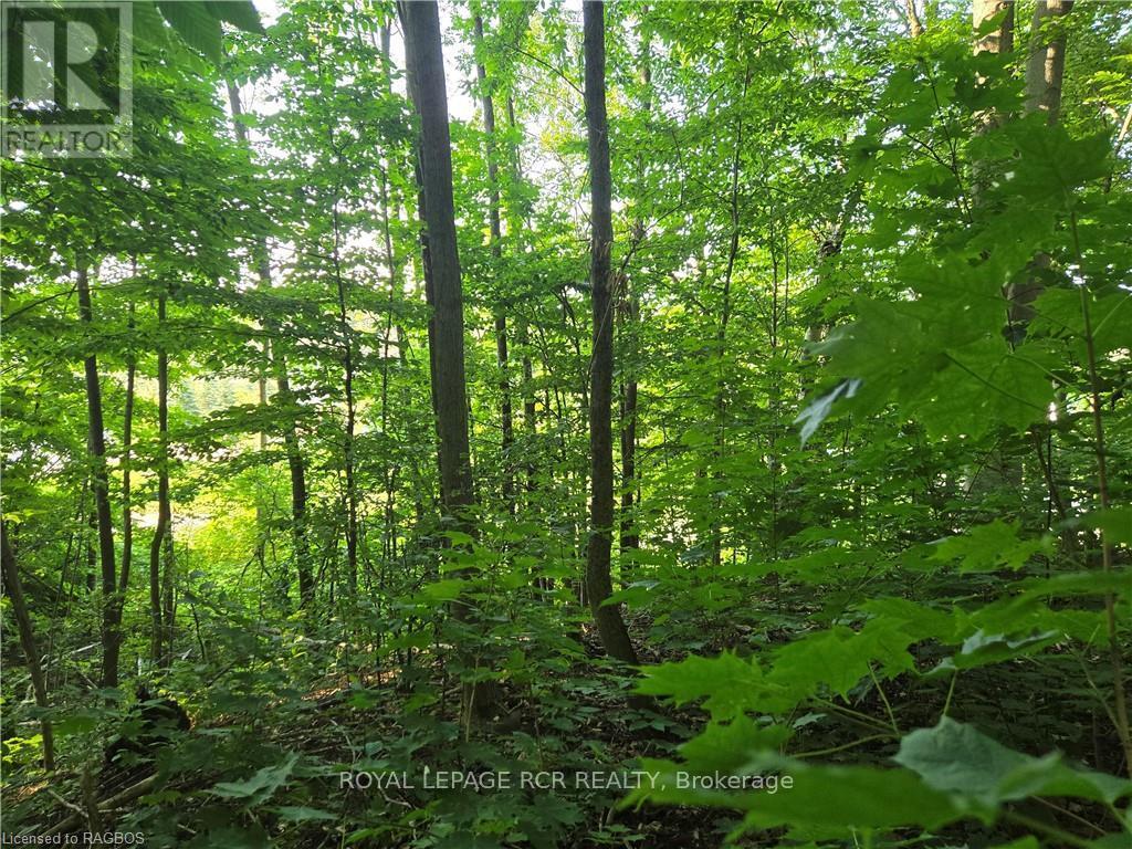 












130 OLD HIGHWAY 26

,
Meaford,







Ontario
N4L1W7


