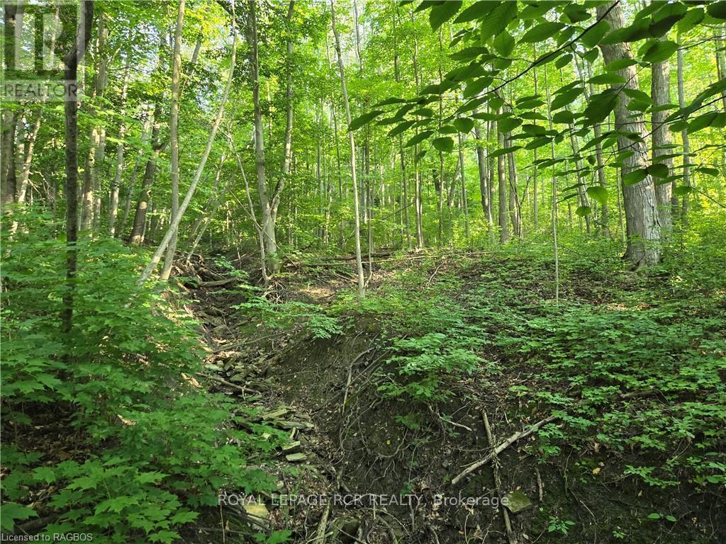 












130 OLD HIGHWAY 26

,
Meaford,







Ontario
N4L1W7

