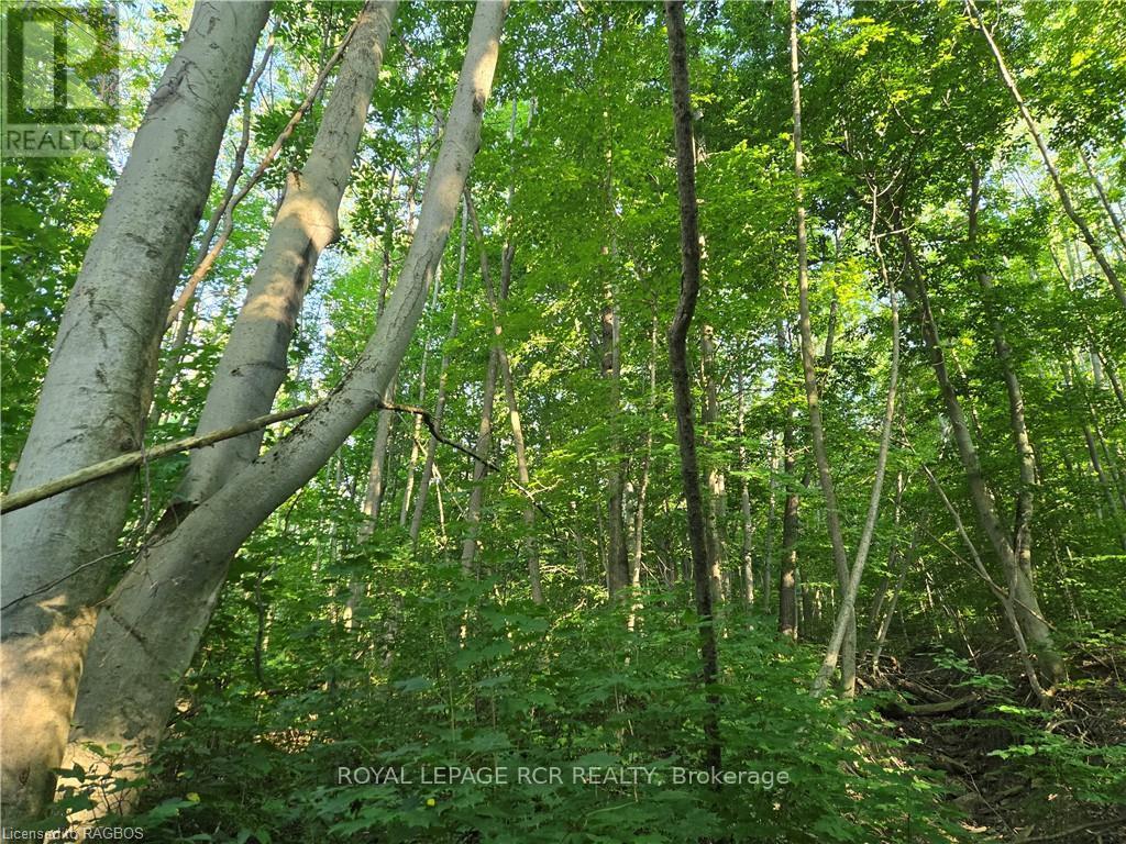 












130 OLD HIGHWAY 26

,
Meaford,







Ontario
N4L1W7

