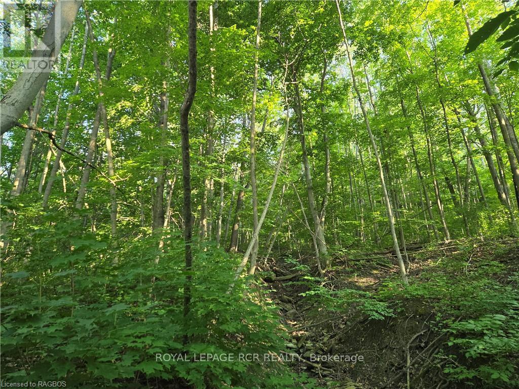 












130 OLD HIGHWAY 26

,
Meaford,







Ontario
N4L1W7

