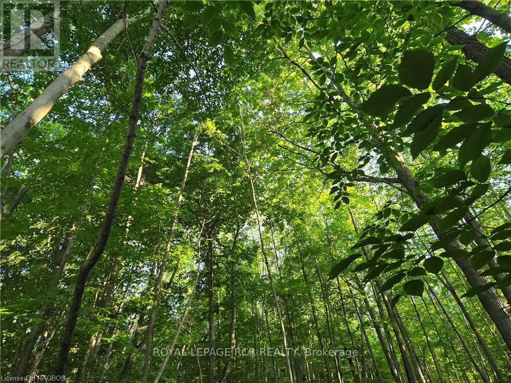 












130 OLD HIGHWAY 26

,
Meaford,







Ontario
N4L1W7

