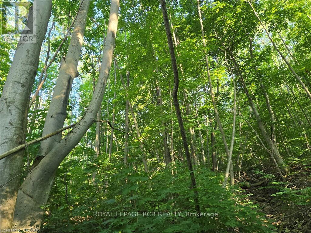 












130 OLD HIGHWAY 26

,
Meaford,







Ontario
N4L1W7

