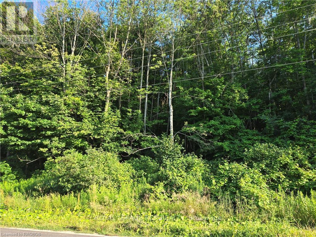 












130 OLD HIGHWAY 26

,
Meaford,







Ontario
N4L1W7

