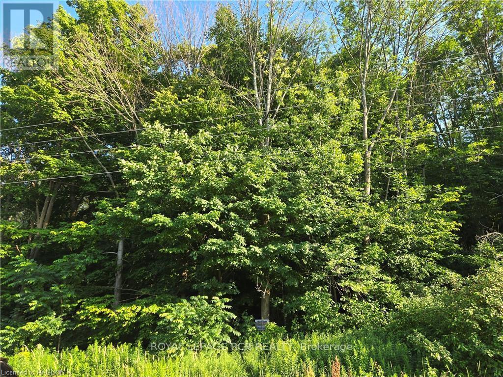 












130 OLD HIGHWAY 26

,
Meaford,







Ontario
N4L1W7

