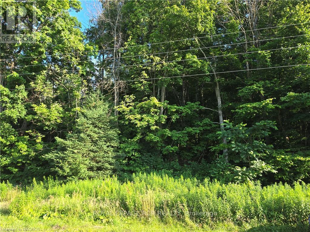 












130 OLD HIGHWAY 26

,
Meaford,







Ontario
N4L1W7

