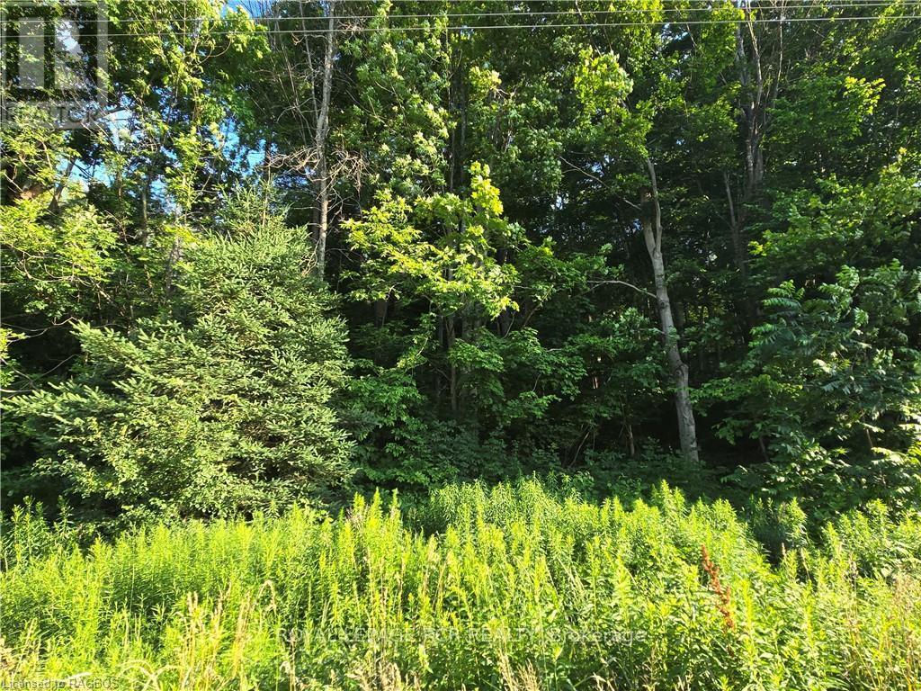 












130 OLD HIGHWAY 26

,
Meaford,







Ontario
N4L1W7

