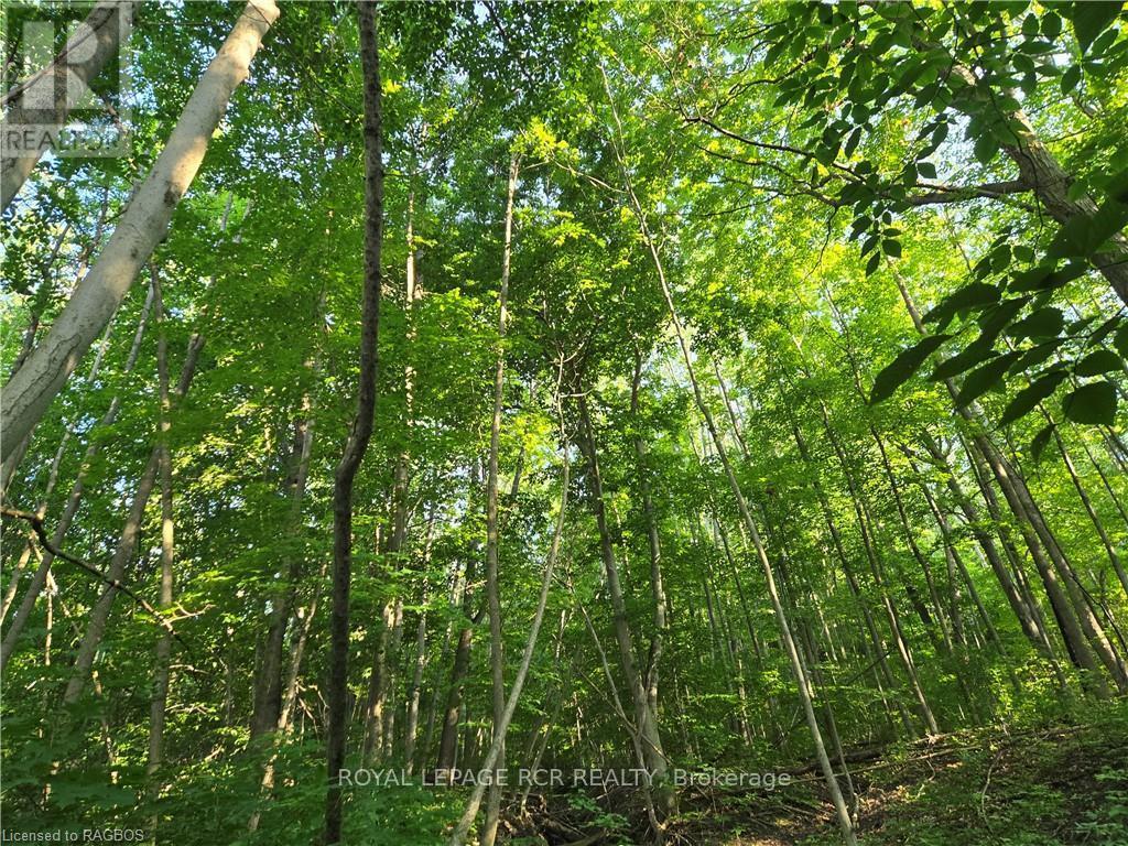 












130 OLD HIGHWAY 26

,
Meaford,







Ontario
N4L1W7

