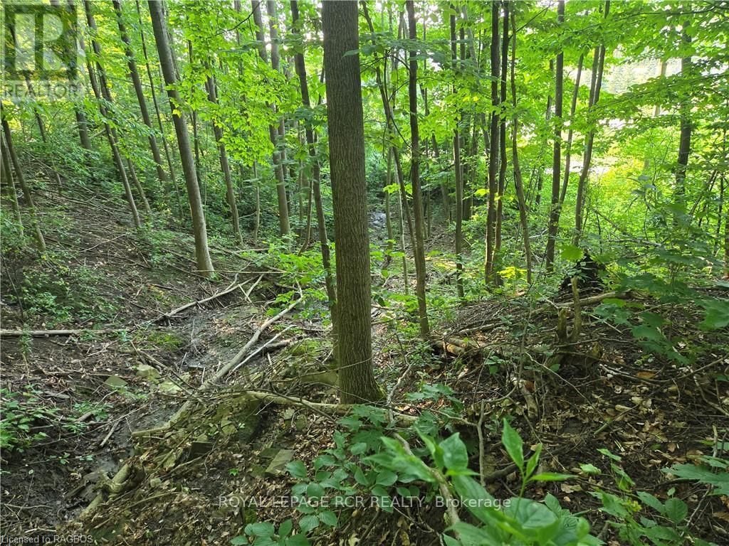 












130 OLD HIGHWAY 26

,
Meaford,







Ontario
N4L1W7

