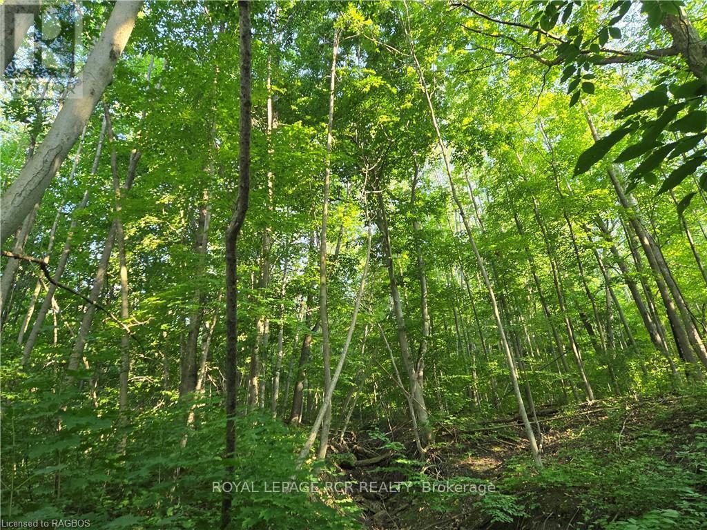 












126 OLD HIGHWAY 26

,
Meaford,







Ontario
N4L1W7


