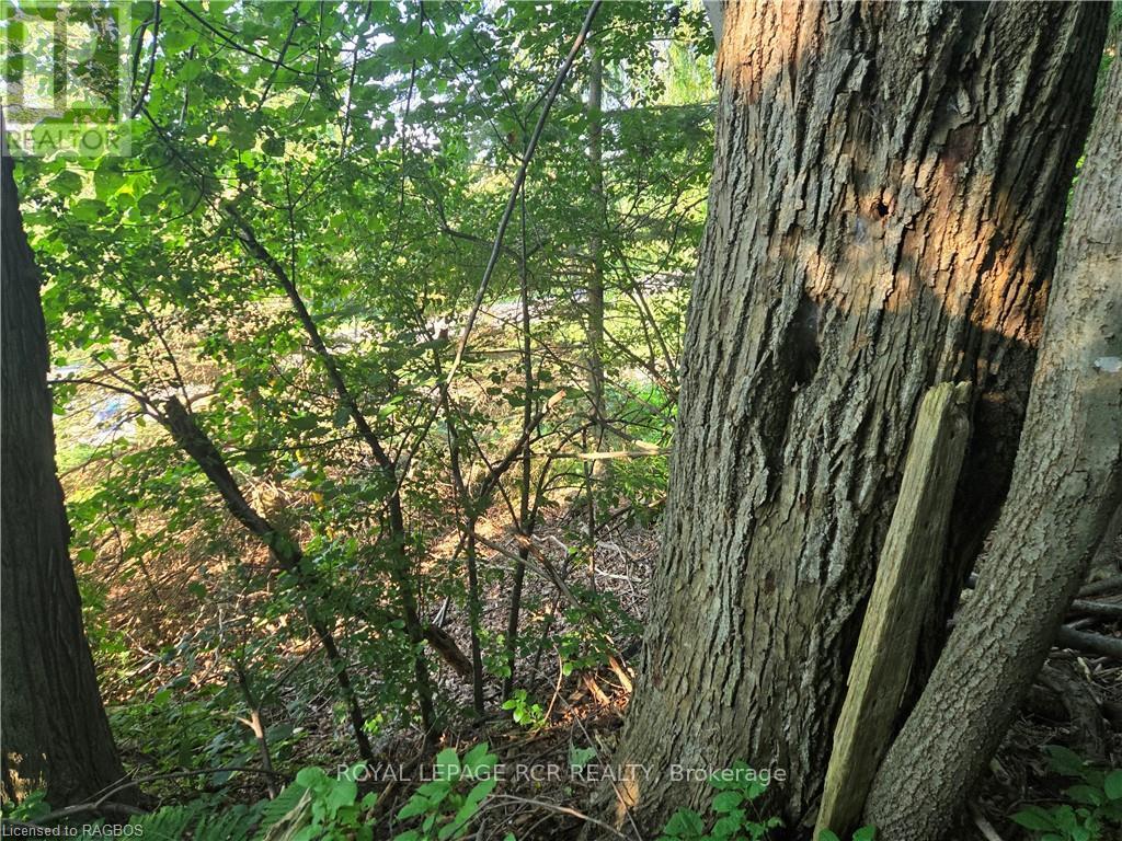 












126 OLD HIGHWAY 26

,
Meaford,







Ontario
N4L1W7

