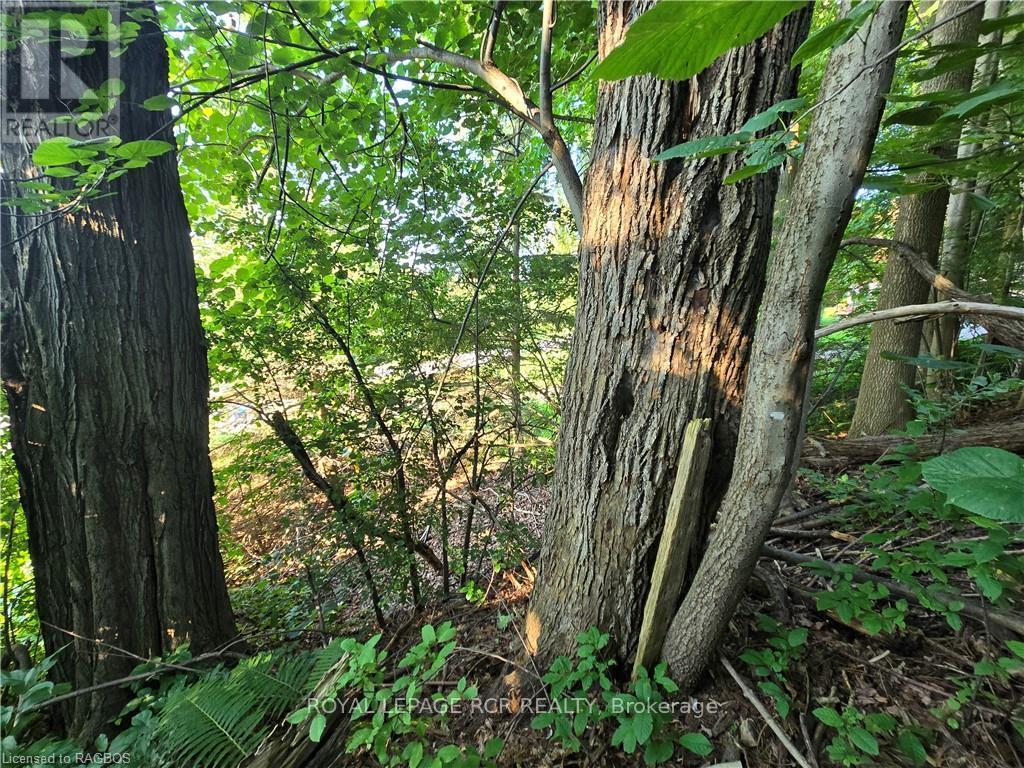 












126 OLD HIGHWAY 26

,
Meaford,







Ontario
N4L1W7

