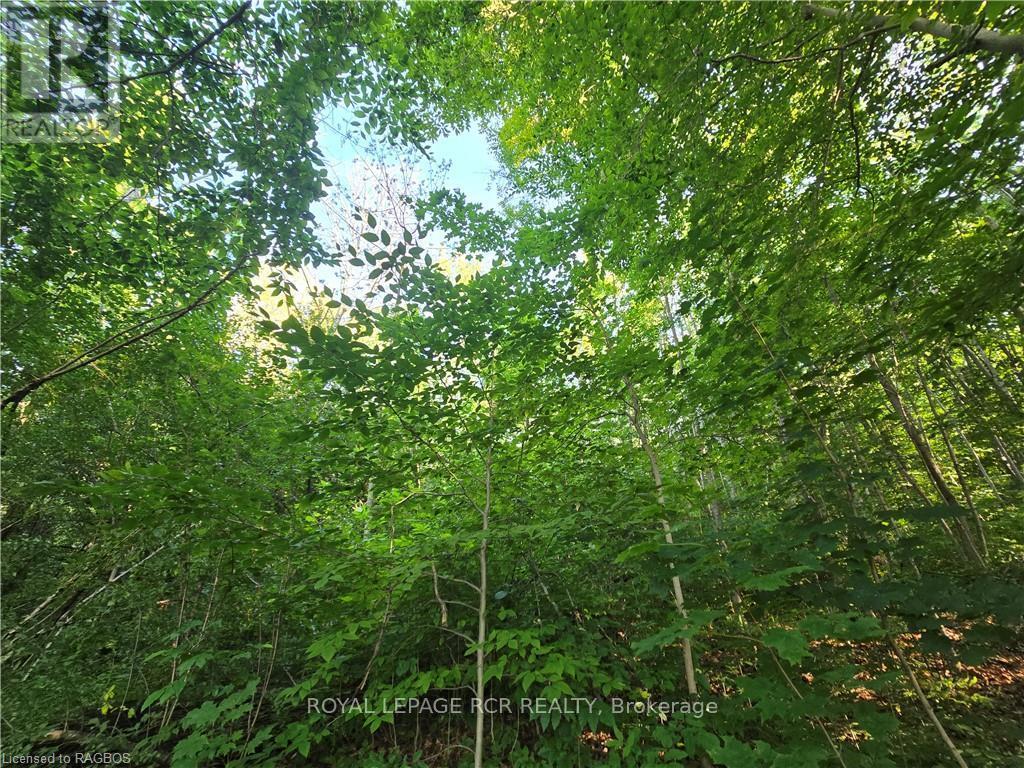 












126 OLD HIGHWAY 26

,
Meaford,







Ontario
N4L1W7

