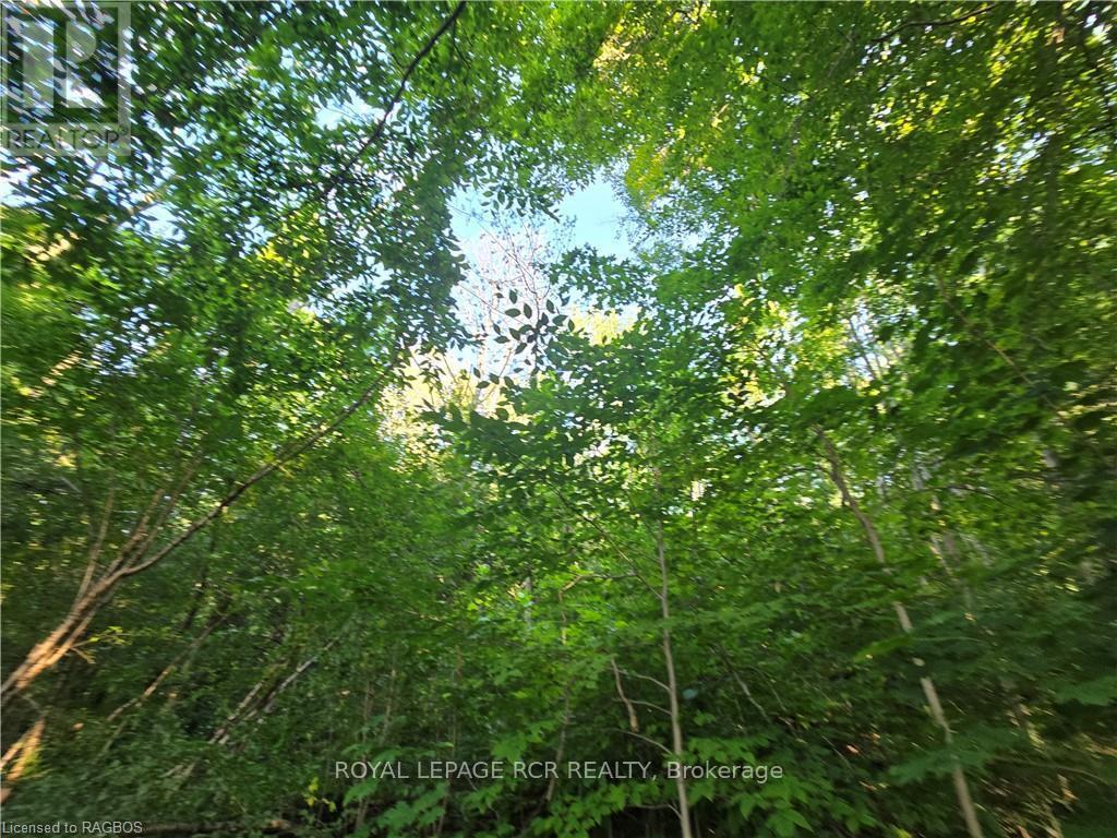 












126 OLD HIGHWAY 26

,
Meaford,







Ontario
N4L1W7

