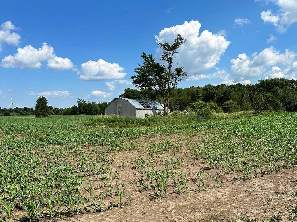 









442082


Concession Rd 12-13

Road,
East Luther Grand Valley,







ON
L9W 2N7

