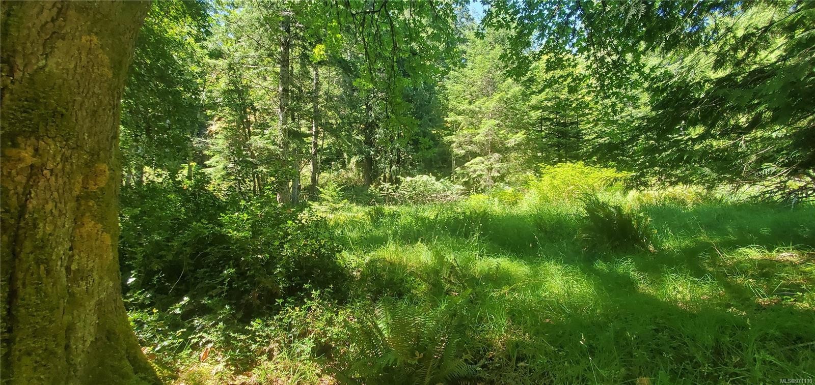 









226


Bold Point

Rd,
Quadra Island,




BC
V0P 1H0

