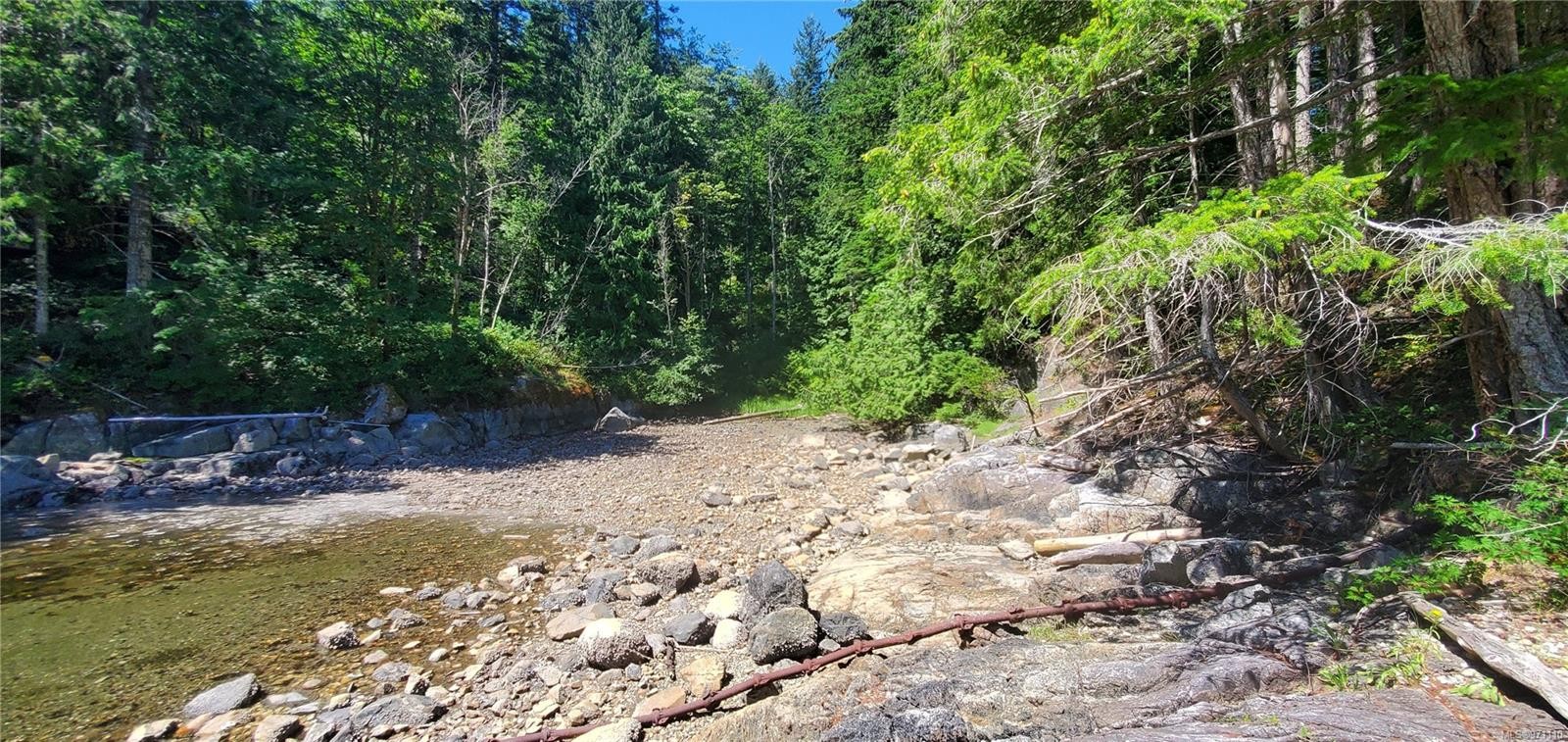 









226


Bold Point

Rd,
Quadra Island,




BC
V0P 1H0


