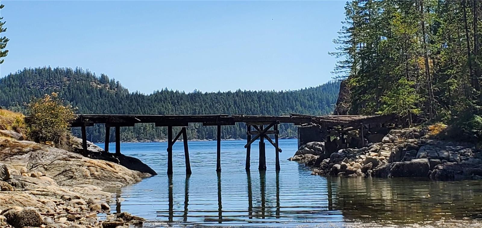 









226


Bold Point

Rd,
Quadra Island,




BC
V0P 1H0

