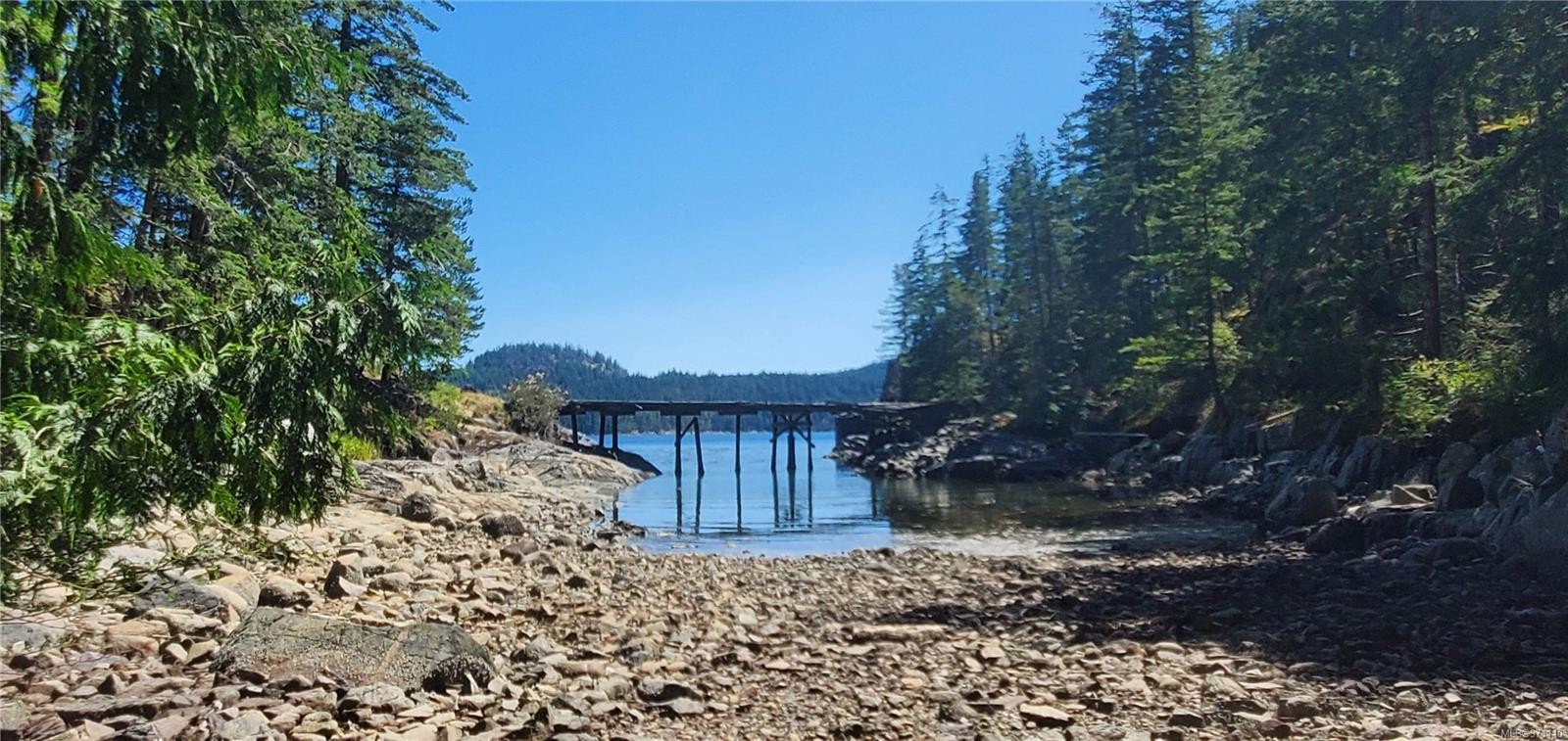 









226


Bold Point

Rd,
Quadra Island,




BC
V0P 1H0

