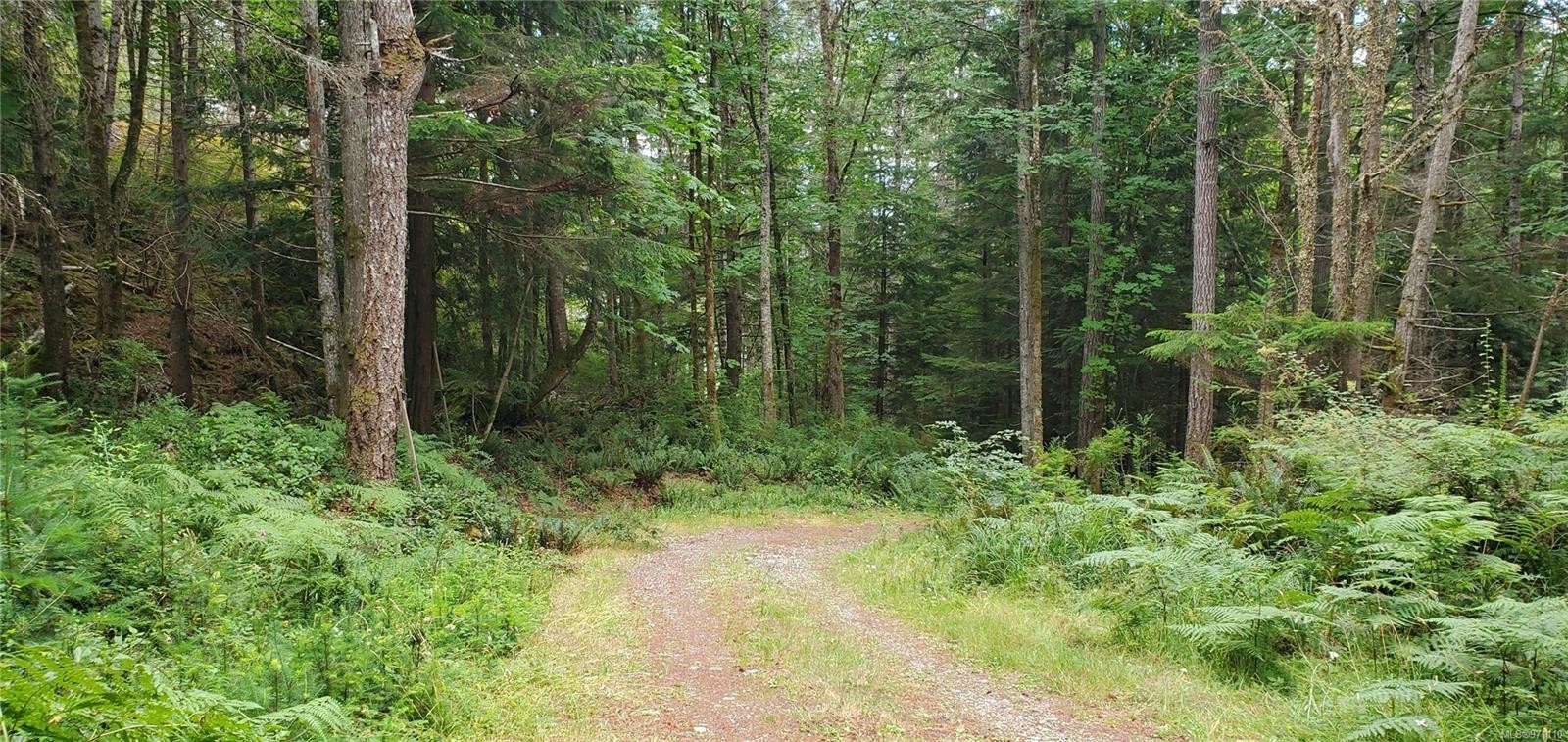 









226


Bold Point

Rd,
Quadra Island,




BC
V0P 1H0

