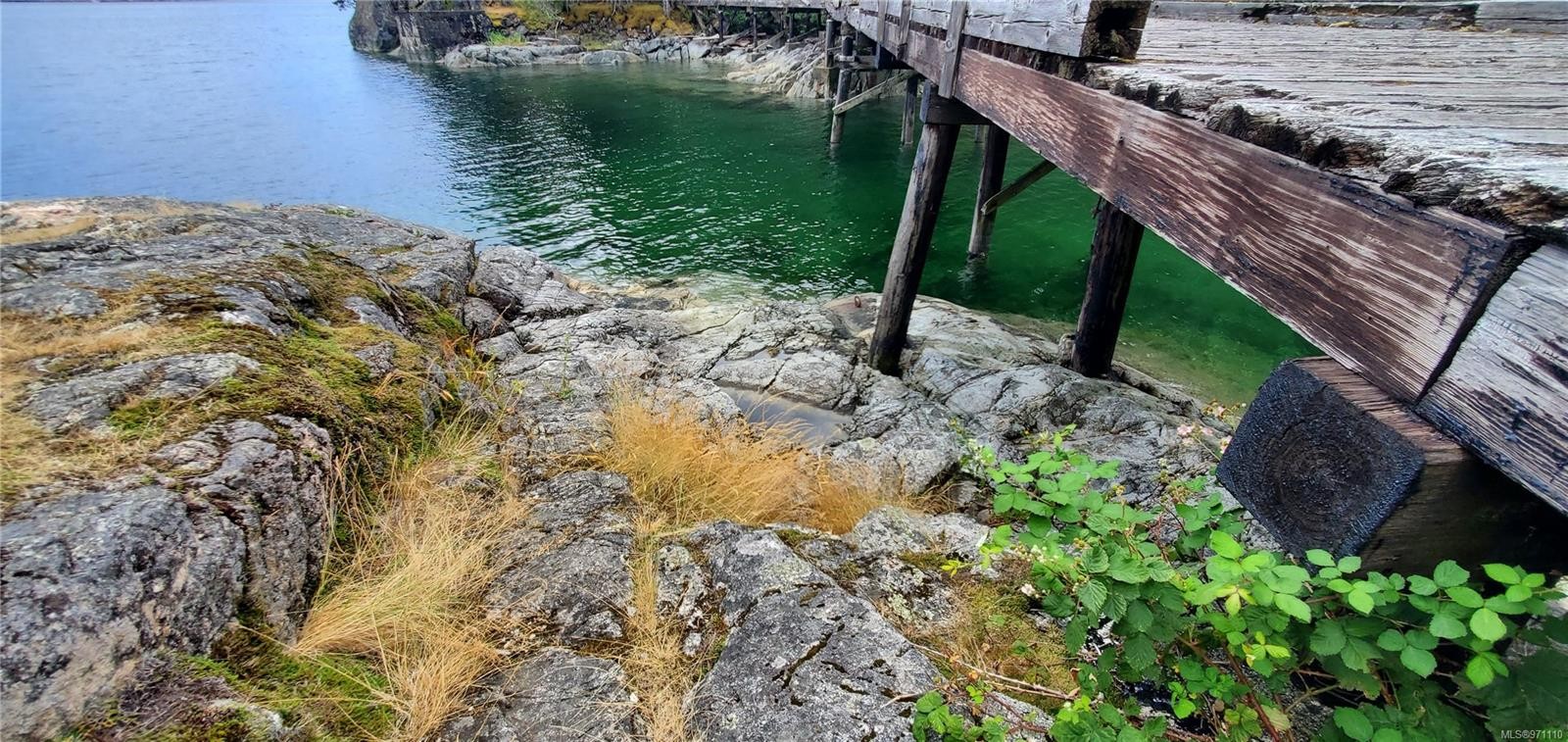 









226


Bold Point

Rd,
Quadra Island,




BC
V0P 1H0

