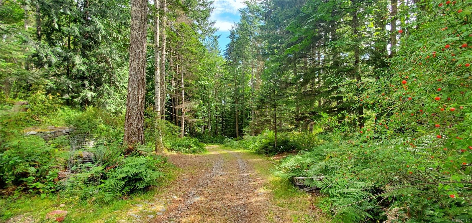 









226


Bold Point

Rd,
Quadra Island,




BC
V0P 1H0

