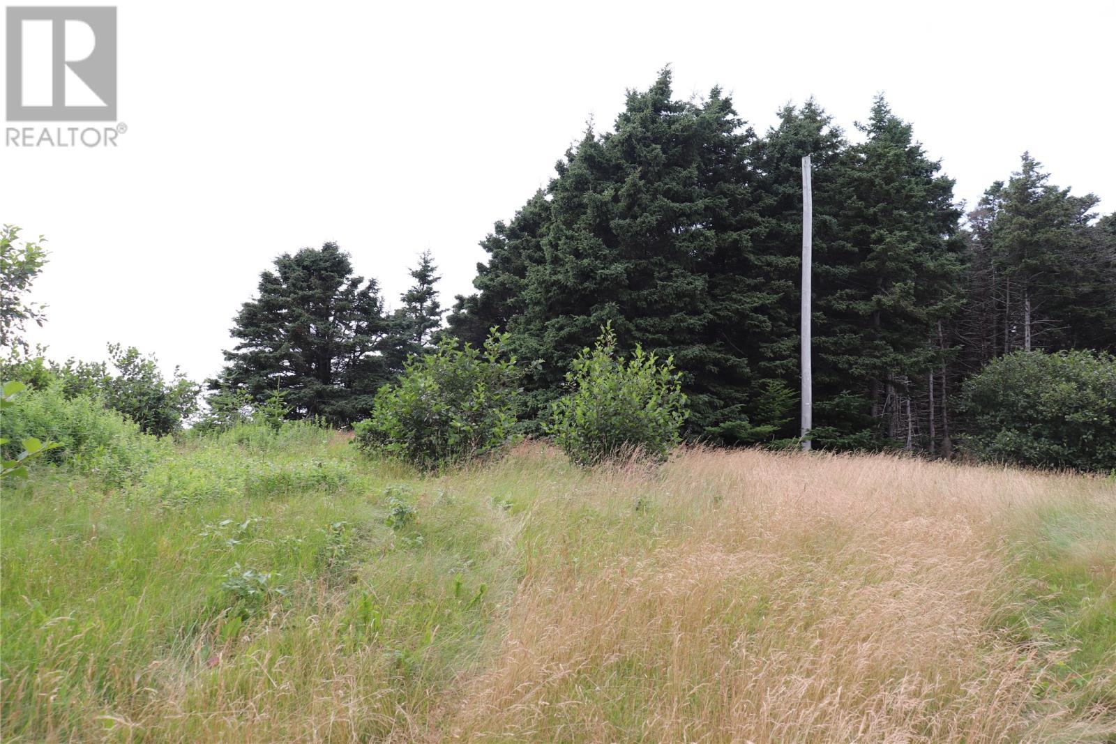 












25 Main Road

,
Heatherton,







Newfoundland & Labrador
