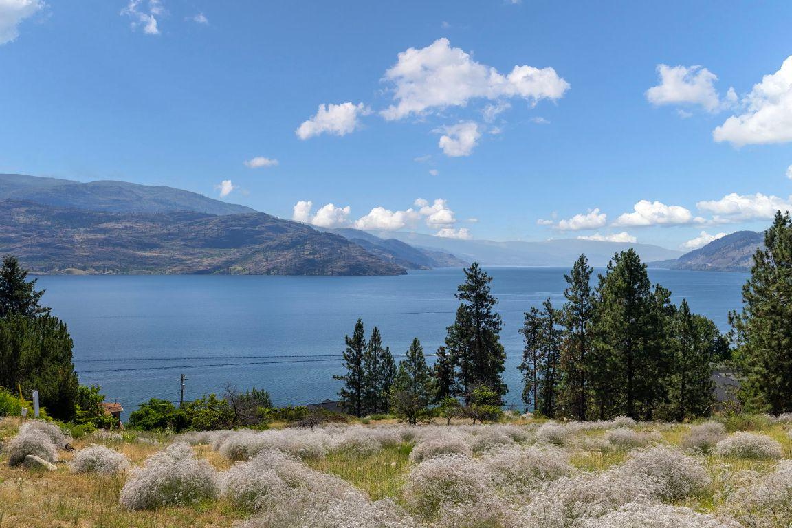 









6446


Renfrew

Road,
Peachland,




BC
V0H 1X7

