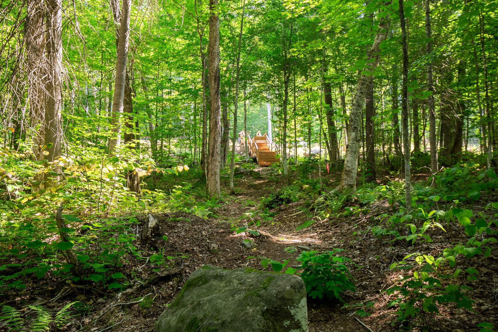 












20e Rue

,
Saint-Adolphe-d'Howard,




QC
J0T2B0

