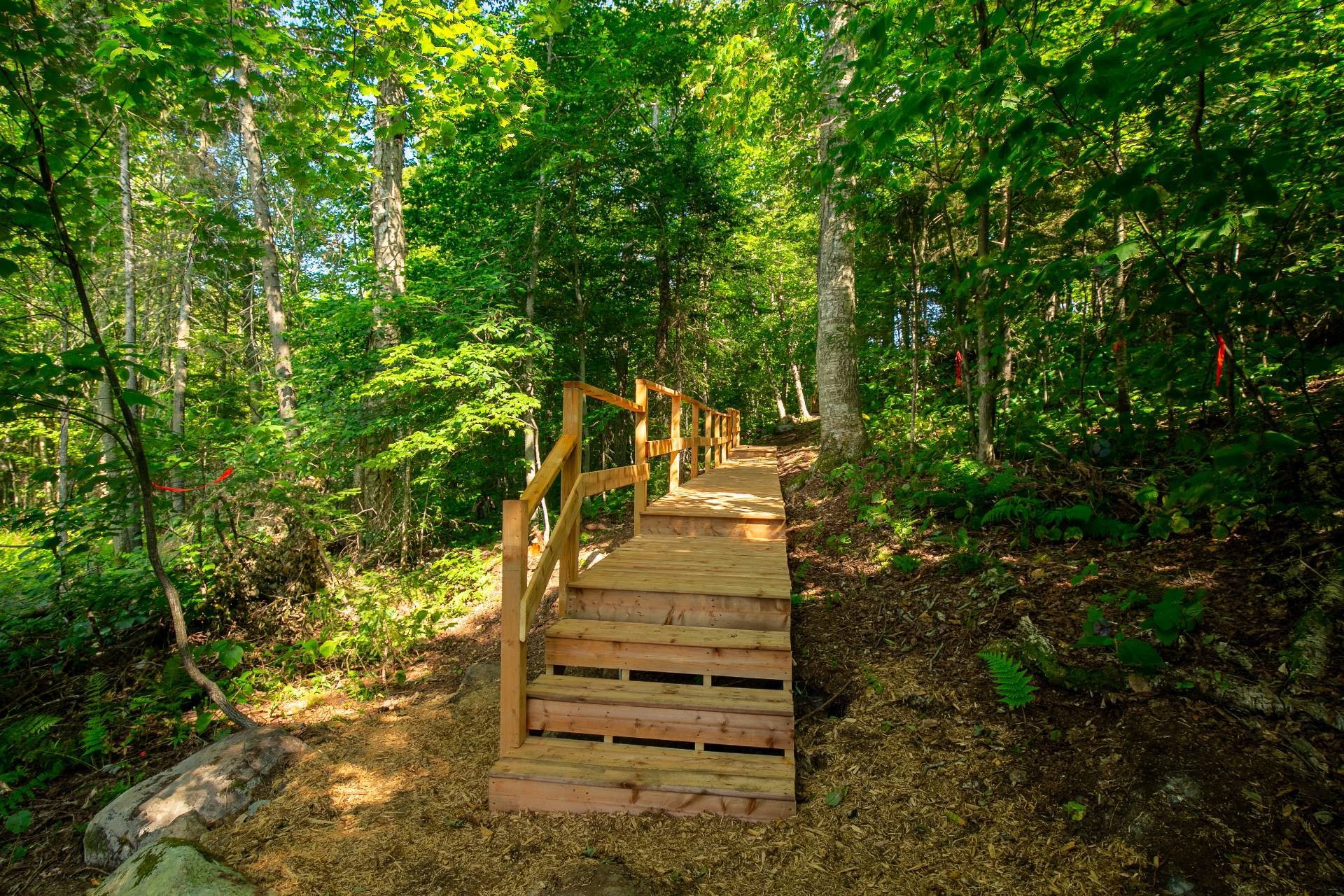 












20e Rue

,
Saint-Adolphe-d'Howard,




QC
J0T2B0

