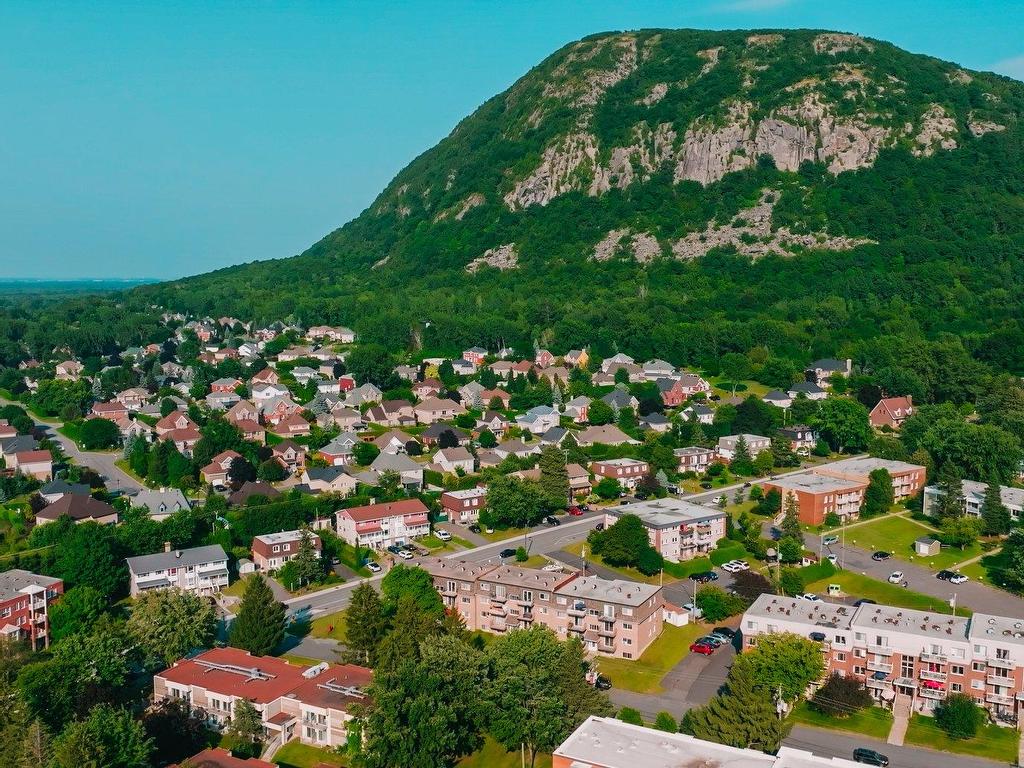 









406


Rue des Plateaux

,
Mont-Saint-Hilaire,




QC
J3H6E6


