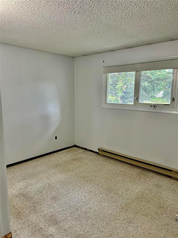 












491 Essex Street

,
Virden,




Manitoba
R0M2C0

