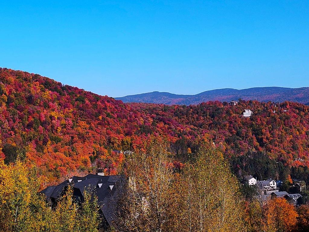 









290


Rue du Mont-Plaisant

, 5,
Mont-Tremblant,




QC
J8E1L2

