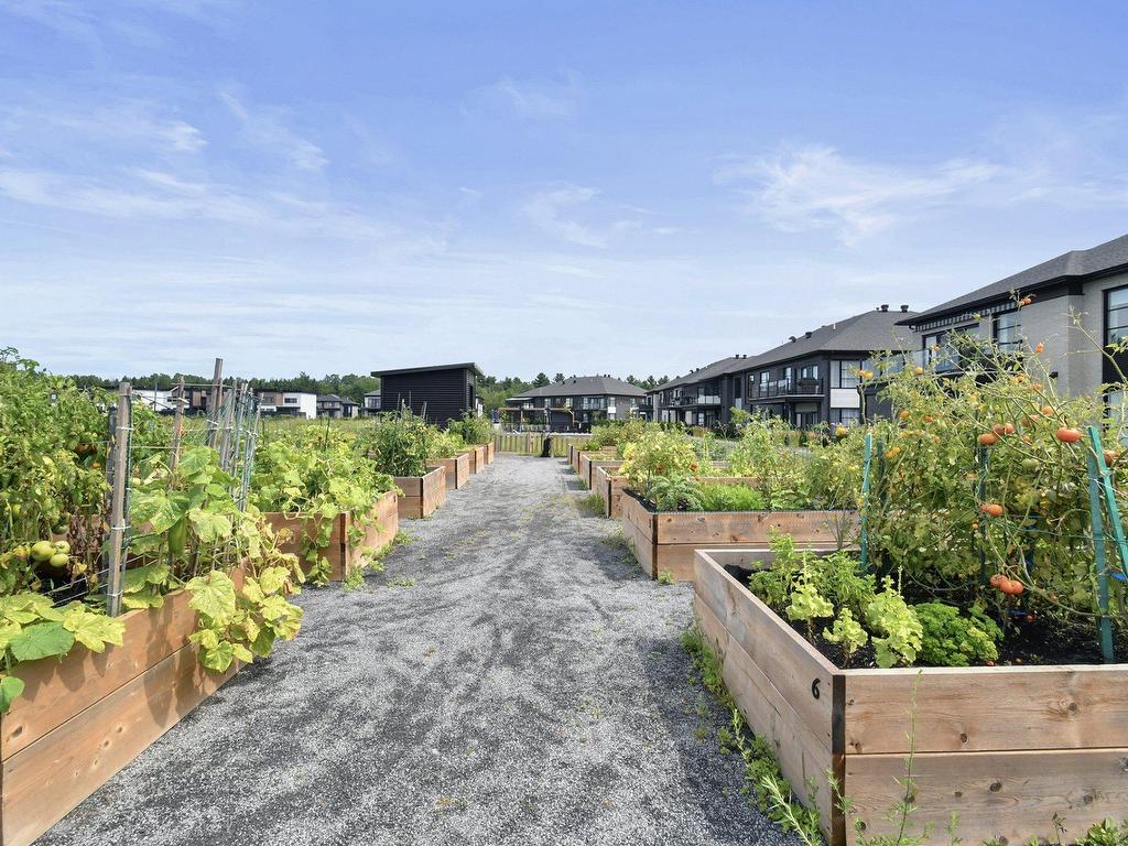 









319


Rue de l'Aigle

, 5,
Carignan,




QC
J3L7J3

