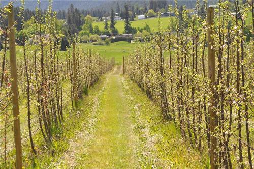 Featured Listing Photo 