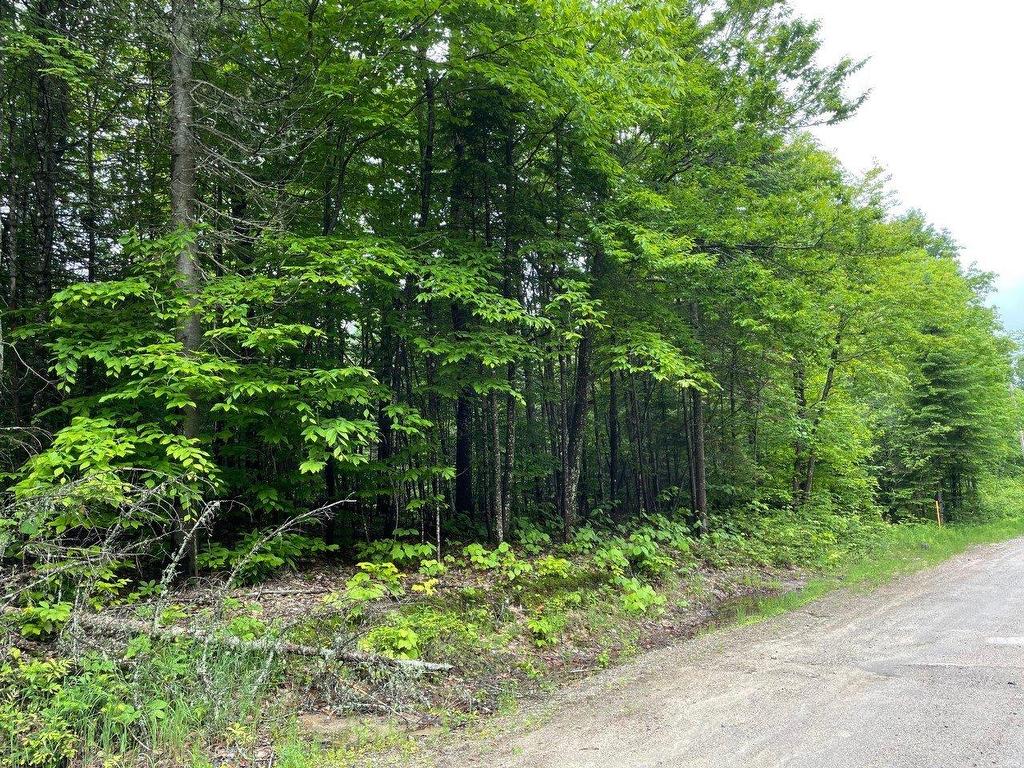 












Ch. des Malards

,
Nominingue,







QC
J0W1R0

