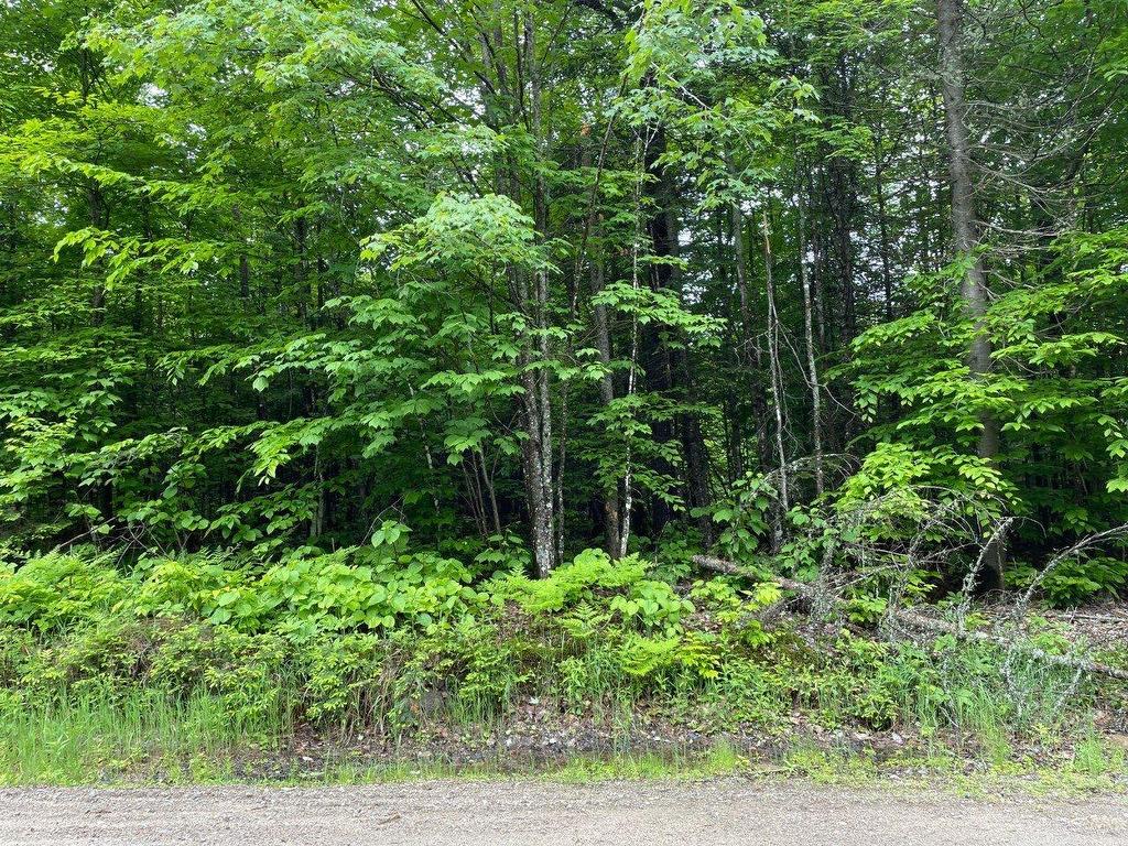 












Ch. des Malards

,
Nominingue,







QC
J0W1R0

