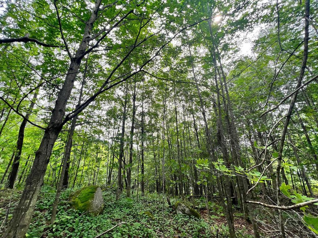 









18


Ch. Lisbourg

,
Wentworth-Nord,







QC
J0T1B0


