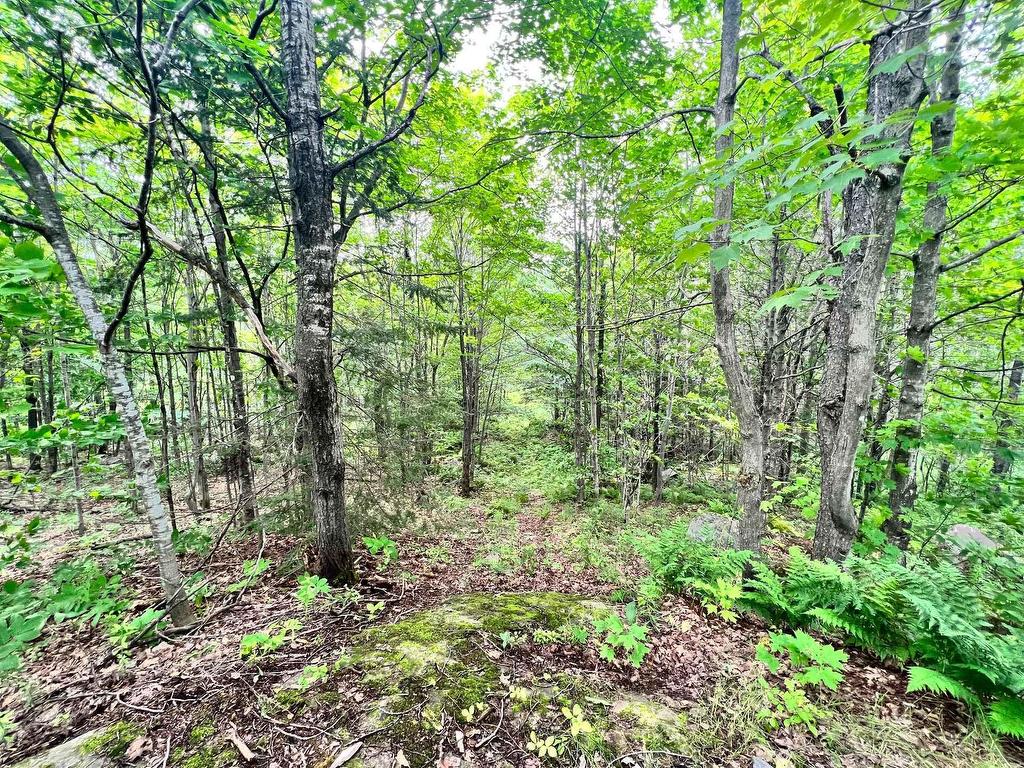 









18


Ch. Lisbourg

,
Wentworth-Nord,







QC
J0T1B0

