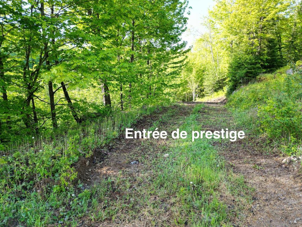 









18


Ch. Lisbourg

,
Wentworth-Nord,







QC
J0T1B0

