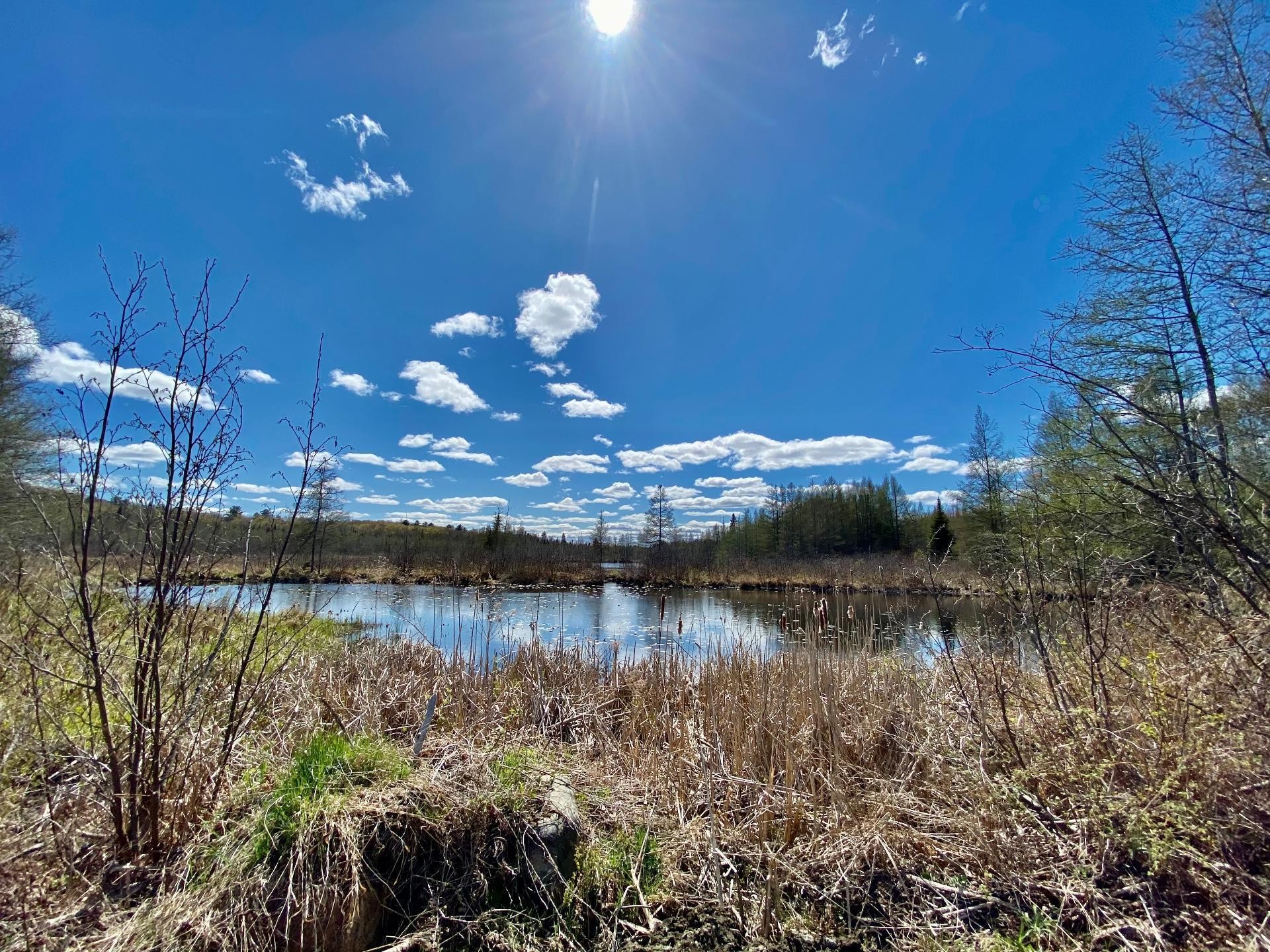 












Ch. du Lac-Écho

,
Prévost,







QC
J5L2S2

