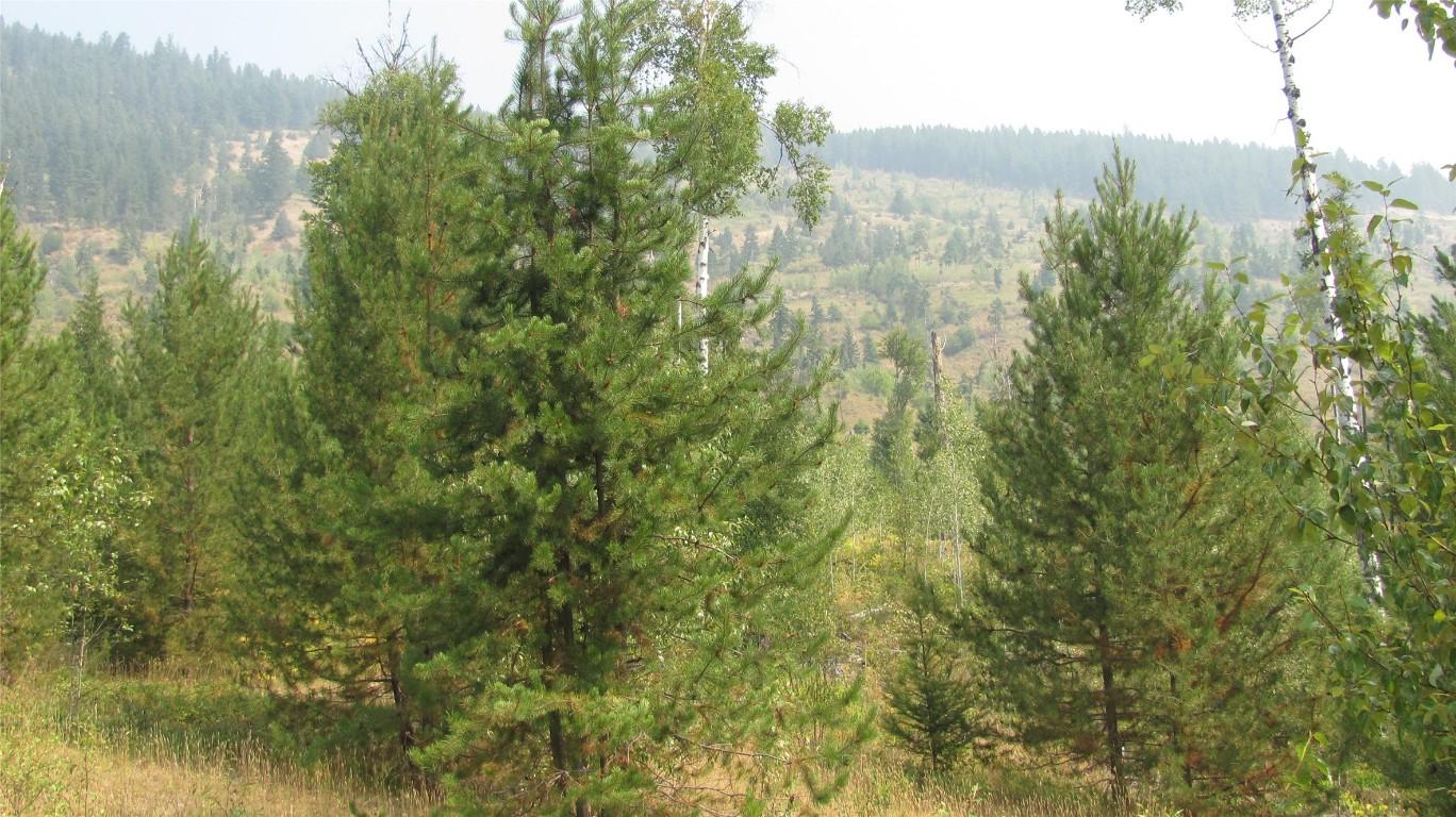 









130  Acres


Sugar Lake-Sihlis FSR

Road,
Cherryville,







BC
V0E 2G3

