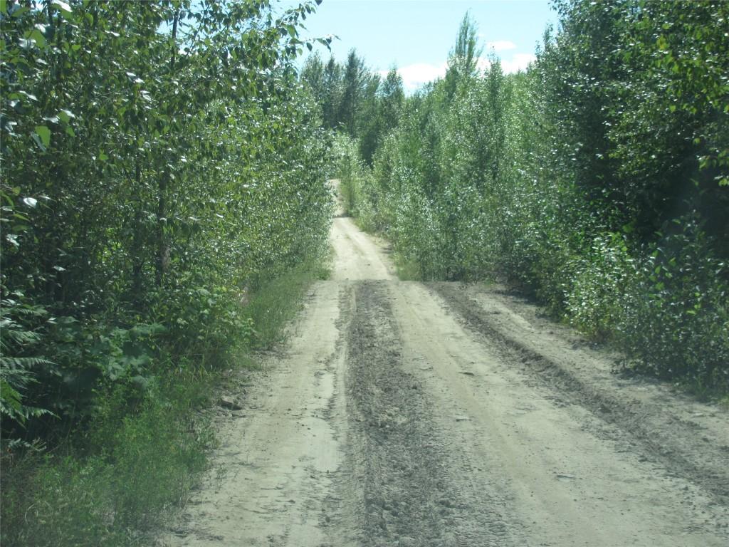









130  Acres


Sugar Lake-Sihlis FSR

Road,
Cherryville,







BC
V0E 2G3

