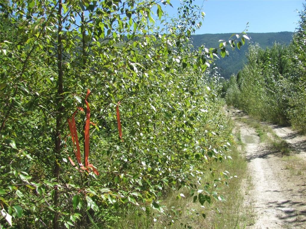 









130  Acres


Sugar Lake-Sihlis FSR

Road,
Cherryville,







BC
V0E 2G3

