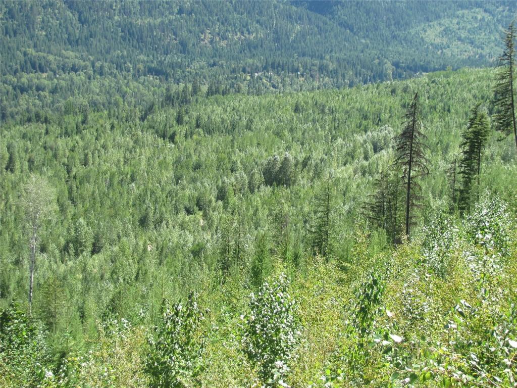 









130  Acres


Sugar Lake-Sihlis FSR

Road,
Cherryville,







BC
V0E 2G3

