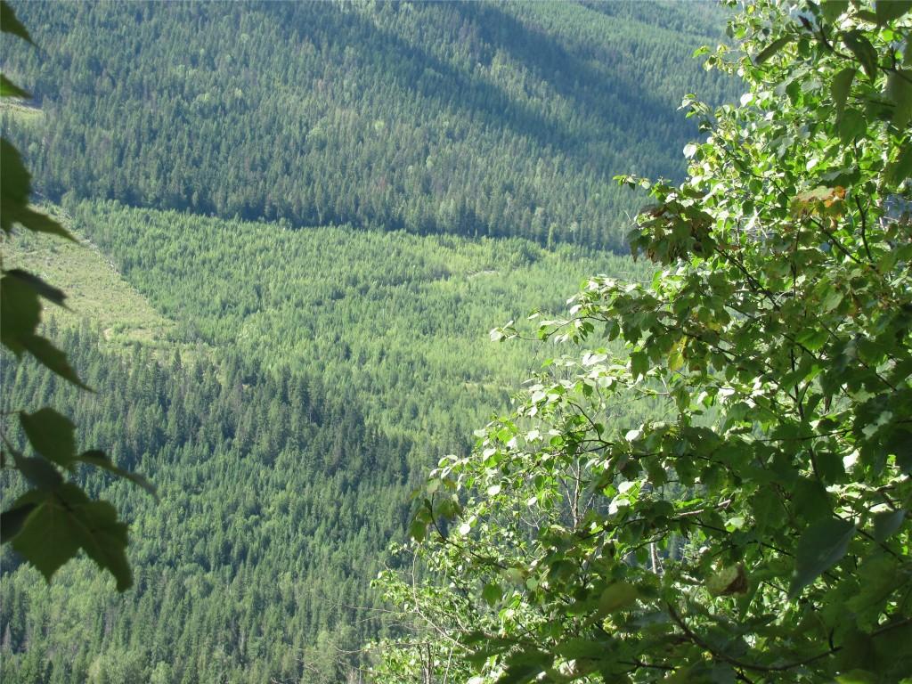 









130  Acres


Sugar Lake-Sihlis FSR

Road,
Cherryville,







BC
V0E 2G3

