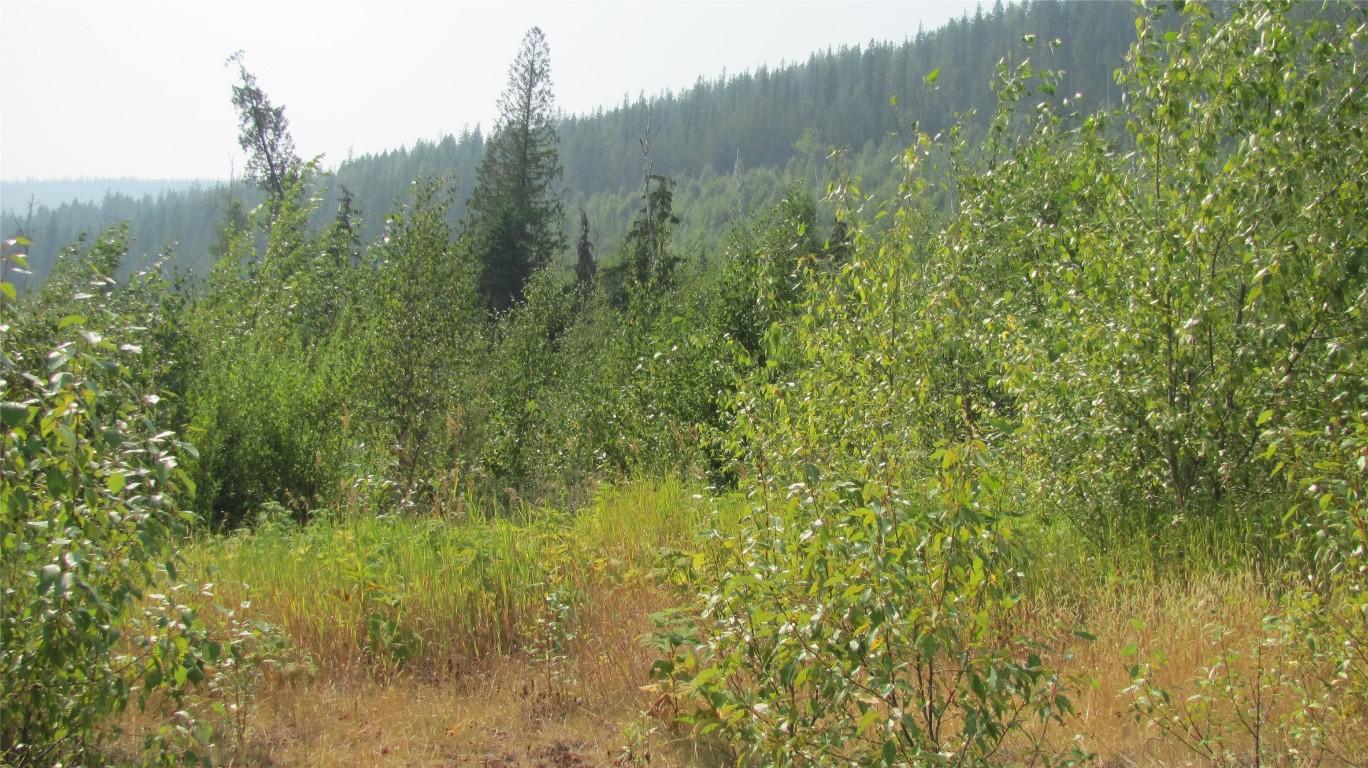 









130  Acres


Sugar Lake-Sihlis FSR

Road,
Cherryville,







BC
V0E 2G3

